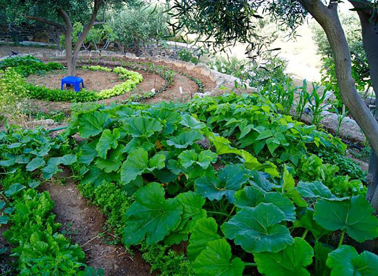 Good Life Greece Eco Villas Posidhonía Esterno foto